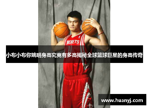 小布小布你姚明身高究竟有多高揭秘全球篮球巨星的身高传奇