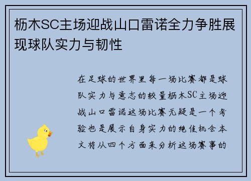 枥木SC主场迎战山口雷诺全力争胜展现球队实力与韧性